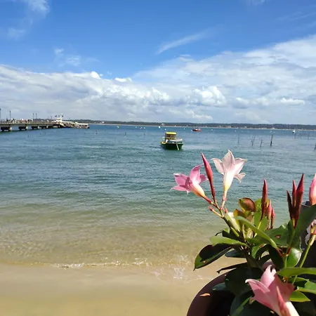 Jolie Cap-ferret Mimbeau Lège-Cap-Ferret